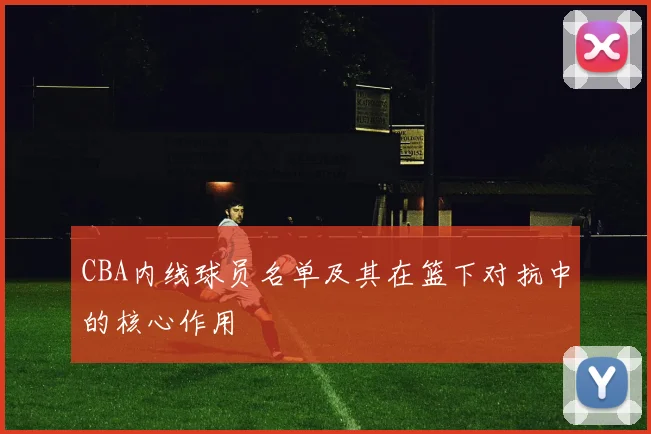 CBA内线球员名单及其在篮下对抗中的核心作用
